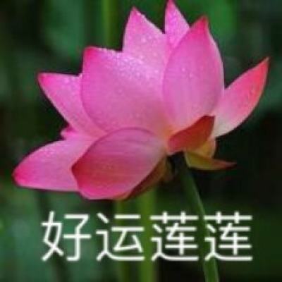 石器魔法的传说游戏(暂未上线)v1.0 安卓版